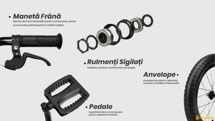 Bicicleta copii 18" ROYAL BABY Freestyle 7.0 NF, rosu, varsta 5-7 ani [5]