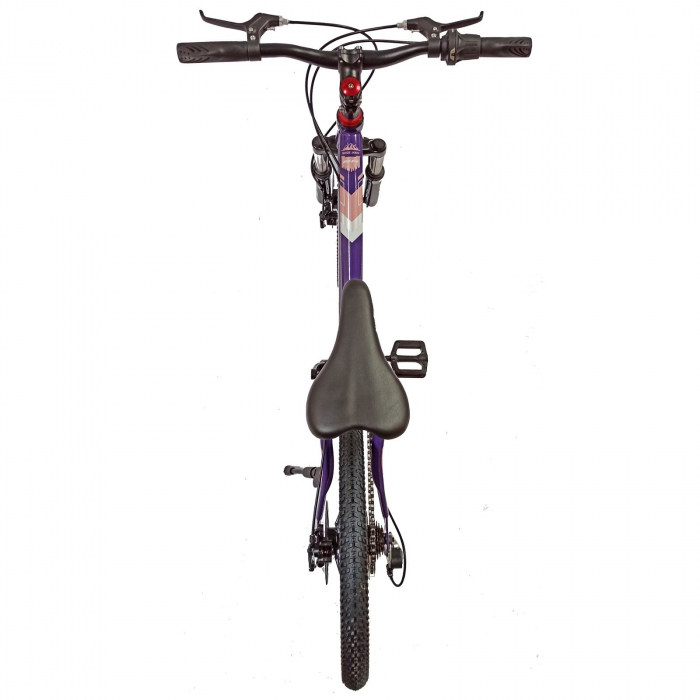 Bicicleta copii 20" BR Inspire, cadru otel 12", manete revoshift, frane disc, 7 viteze, violet/roz, varsta 7-10 ani [14]
