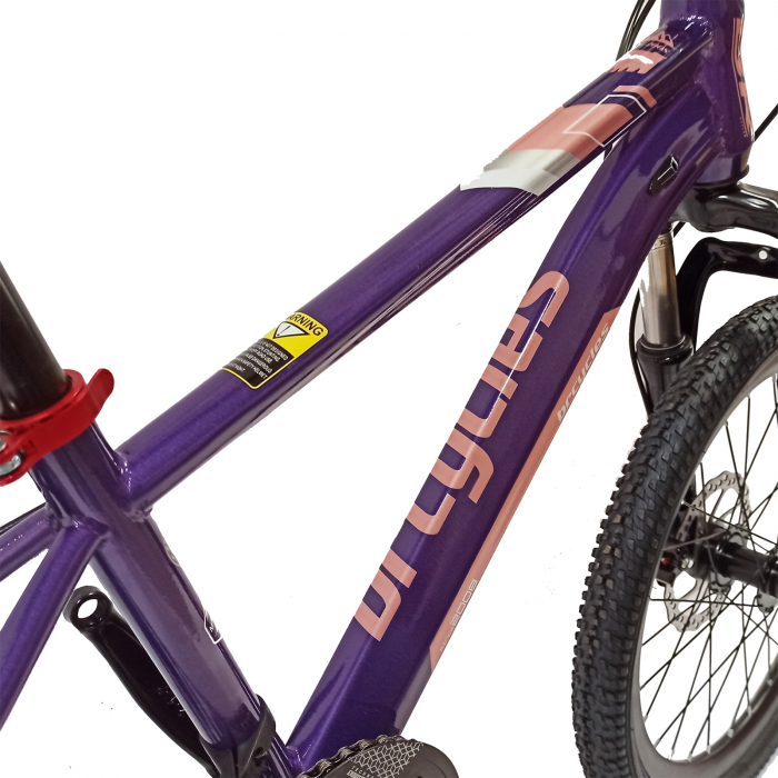 Bicicleta copii 20" BR Inspire, cadru otel 12", manete revoshift, frane disc, 7 viteze, violet/roz, varsta 7-10 ani [10]