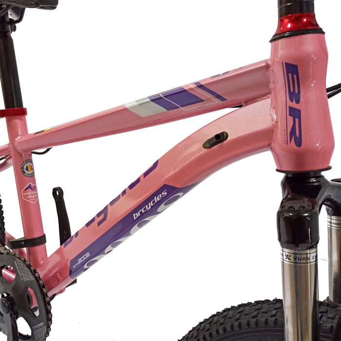 Bicicleta copii 20" BR Inspire, cadru otel 12", manete revoshift, frane disc, 7 viteze, violet/roz, varsta 7-10 ani [13]