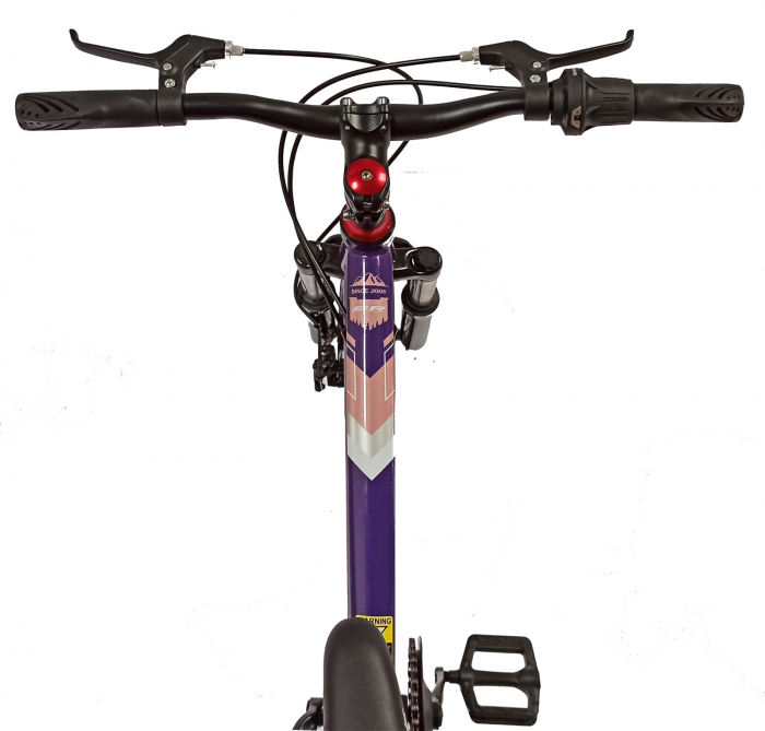 Bicicleta copii 20" BR Inspire, cadru otel 12", manete revoshift, frane disc, 7 viteze, violet/roz, varsta 7-10 ani [4]
