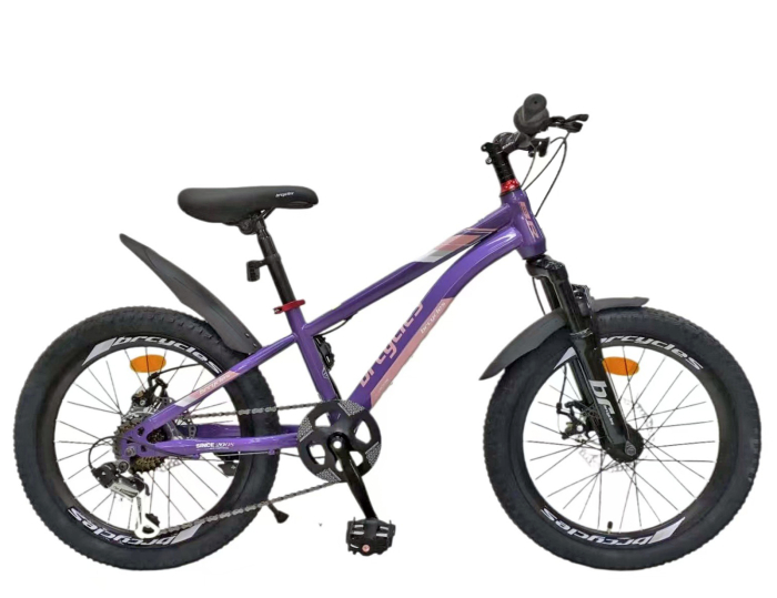 Bicicleta copii 20" BR Inspire, cadru otel 12", manete revoshift, frane disc, 7 viteze, varsta 7-10 ani [1]