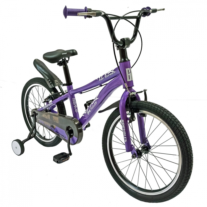 Bicicleta copii 20" BR Sprint, albastru, varsta 7-10 ani [3]