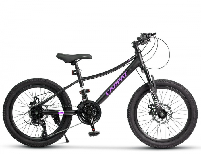 Bicicleta copii 20" CARPAT Polestar, cadru otel, manete secventiale, frane disc, 21 viteze [2]