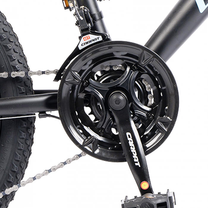 Bicicleta copii 20" CARPAT Polestar, cadru otel, manete secventiale, frane disc, 21 viteze [10]