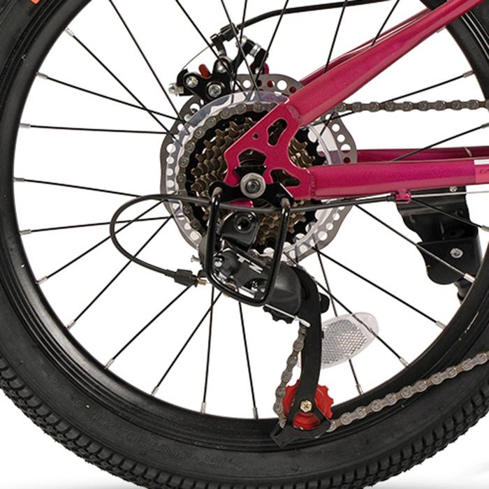 Bicicleta copii 20" CARPAT Polestar, cadru otel, manete secventiale, frane disc, 21 viteze, varsta 7-10 ani [8]