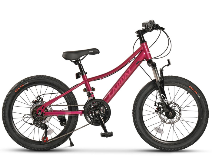 Bicicleta copii 20" CARPAT Polestar, cadru otel, manete secventiale, frane disc, 21 viteze, varsta 7-10 ani [2]