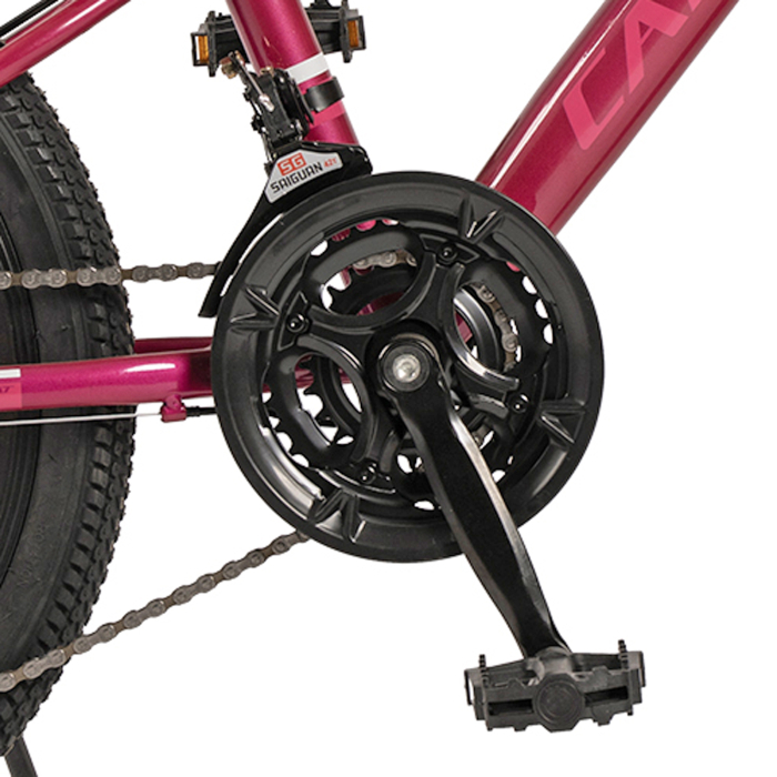 Bicicleta copii 20" CARPAT Polestar, cadru otel, manete secventiale, frane disc, 21 viteze, varsta 7-10 ani [7]