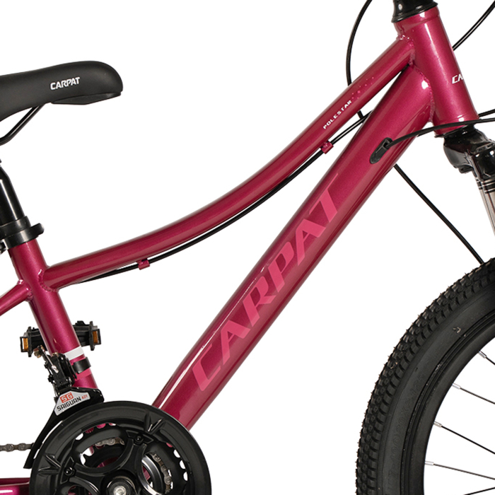 Bicicleta copii 20" CARPAT Polestar, cadru otel, manete secventiale, frane disc, 21 viteze, varsta 7-10 ani [11]