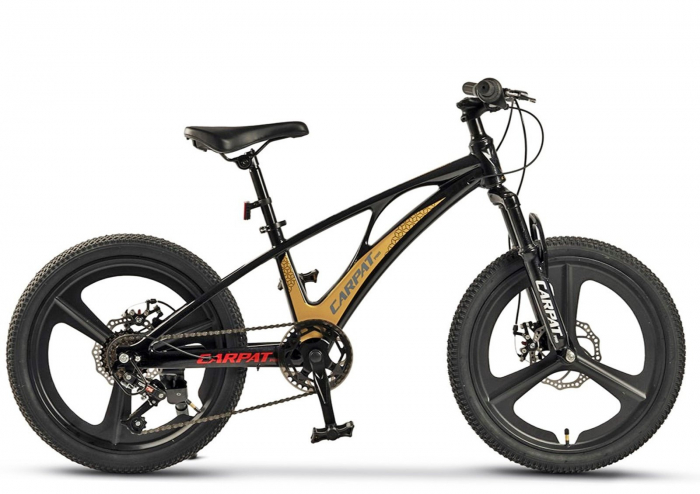 Bicicleta copii 20" MTB-HT CARPAT C20343, jante magneziu, cadru aluminiu 8.5", 7 viteze, varsta 7-10 ani [2]