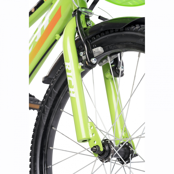 Bicicleta copii 20" RICH Cosmos R2005, varsta 7-10 ani [4]