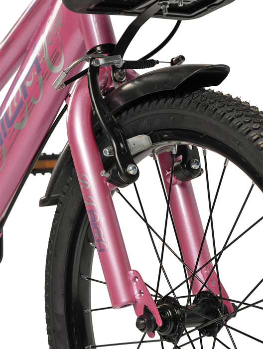 Bicicleta copii 20" RICH R2005, varsta 7-10 ani [4]