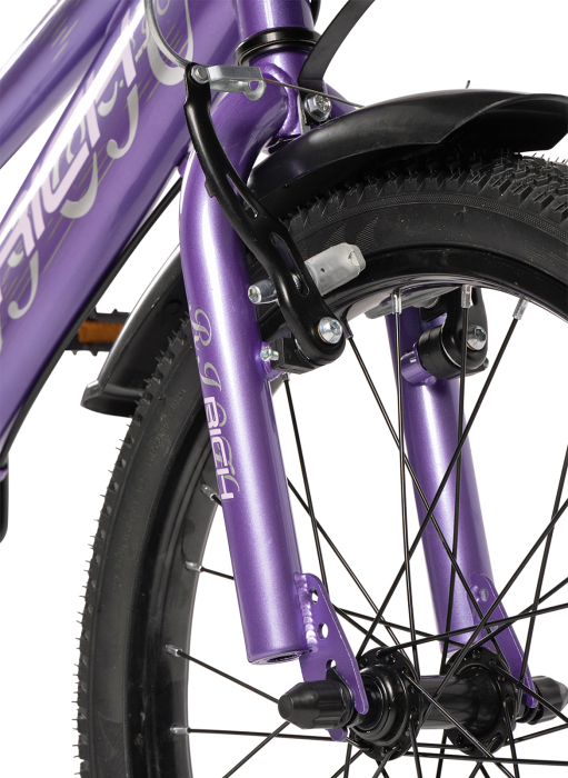 Bicicleta copii 20" RICH R2005, varsta 7-10 ani [4]