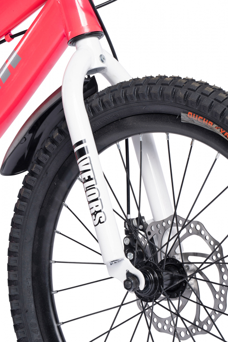 Bicicleta copii 20" VELORS Royal 2.0, frane disc, single speed, varsta 7-10 ani [4]