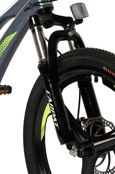 ﻿Bicicleta Copii MTB Carpat 20" C20343A, Gri/Verde [8]