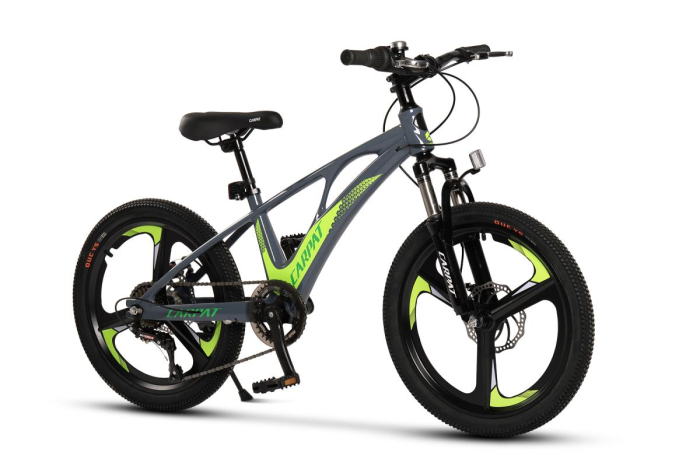 ﻿Bicicleta Copii MTB Carpat 20" C20343A, Gri/Verde [2]