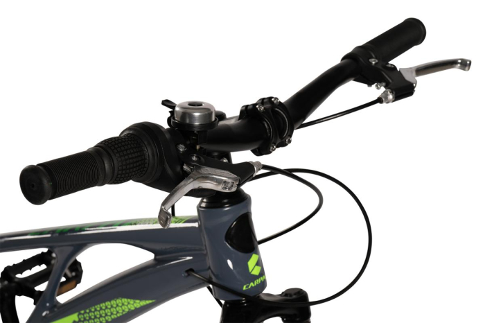 ﻿Bicicleta Copii MTB Carpat 20" C20343A, Gri/Verde [9]