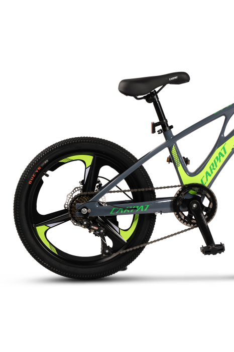 ﻿Bicicleta Copii MTB Carpat 20" C20343A, Gri/Verde [4]