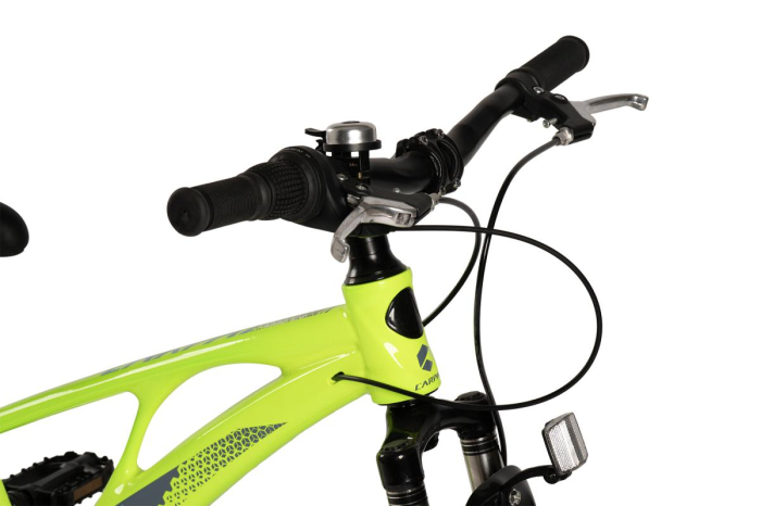﻿Bicicleta Copii MTB Carpat 20" C20343A, Verde/Gri [9]