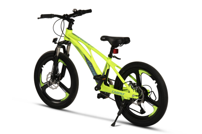 ﻿Bicicleta Copii MTB Carpat 20" C20343A, Verde/Gri [3]