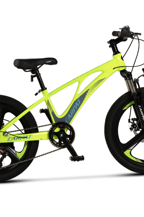 ﻿Bicicleta Copii MTB Carpat 20" C20343A, Verde/Gri [5]