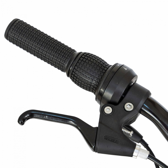 Bicicleta copii MTB-FS 20" RICH Alpin 2.0, cadru otel, manete RevoShift, frane V-Brake, 6 viteze, verde, varsta 7-10 ani [4]