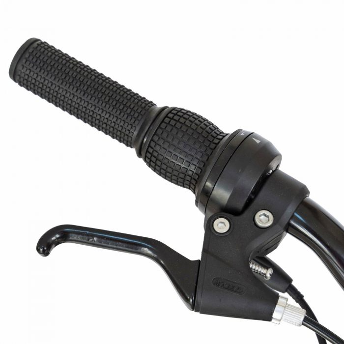 Bicicleta copii MTB-FS 20" RICH Alpin 2.0, cadru otel, manete RevoShift, frane V-Brake, 6 viteze, verde, varsta 7-10 ani [6]