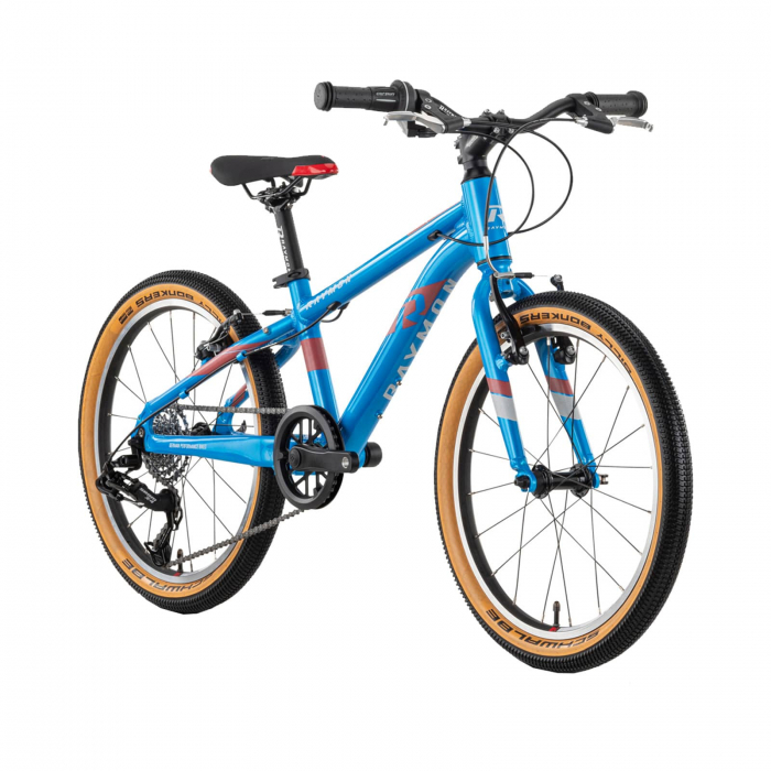 Bicicleta Copii Raymon TwoRay 3.0 - 20 Inch, 270 mm, Albastru [1]