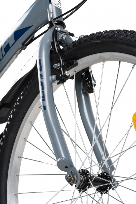 Bicicleta de oras (Trekking) Rich R2430A 24", Gri/Albastru [5]