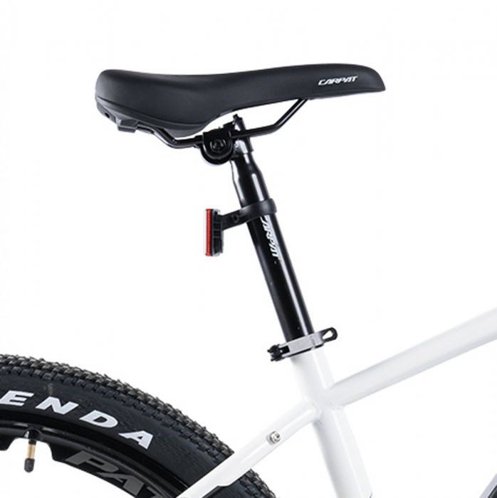 Bicicleta electrica 27.5" MTB-HT CARPAT Pioneer C27517E, cadru aluminiu, jante magneziu, manete index, frane disc, 21 viteze [14]