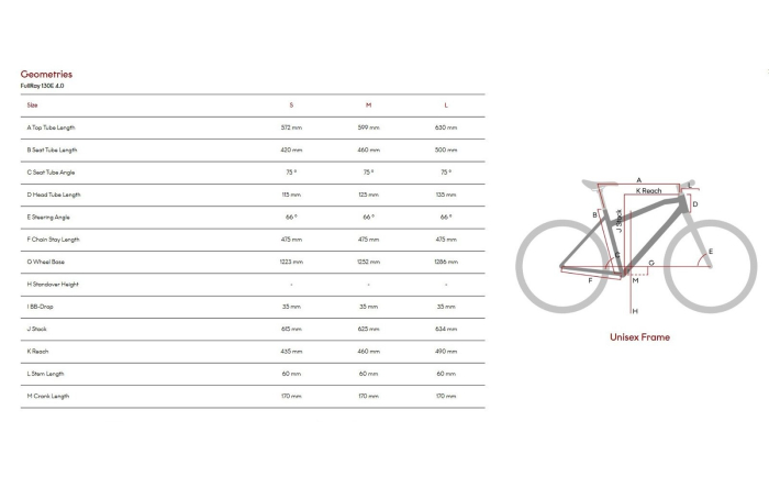 Bicicleta electrica MTB-FS 29" RAYMON FullRay 130E 4.0, cadru aluminiu, manete secventiale, frane hidraulice, 9 viteze, negru [5]
