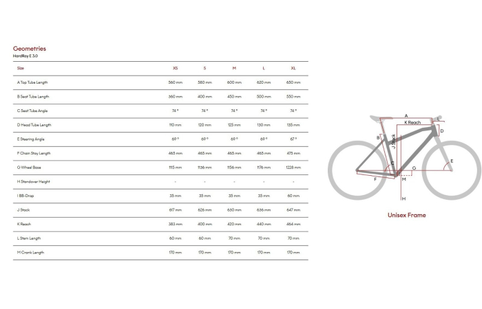 Bicicleta electrica MTB-HT 29" RAYMON HardRay E3.0, cadru aluminiu , manete secventiale, frane hidraulice, 9 viteze [5]
