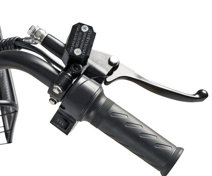 Bicicleta electrica tip scooter 20" CARPAT E-Delivery 20314E, cadru otel 16", frane tambur/disc, autonomie 60-80 km [5]