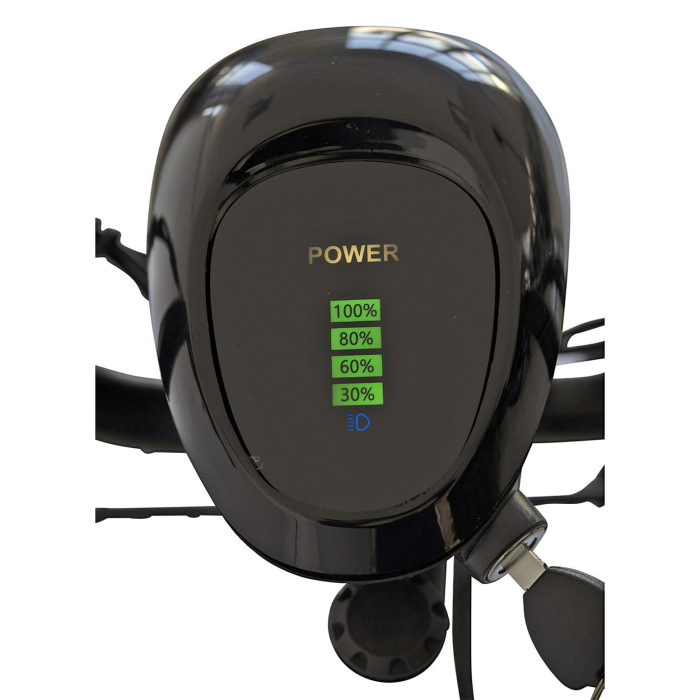 Bicicleta electrica tip scooter 20" CARPAT E-Delivery 20314E, cadru otel 16", frane tambur/disc, autonomie 60-80 km [8]