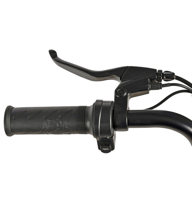 Bicicleta electrica tip scooter 20" CARPAT E-Delivery 20314E, cadru otel 16", frane tambur/disc, autonomie 60-80 km [6]