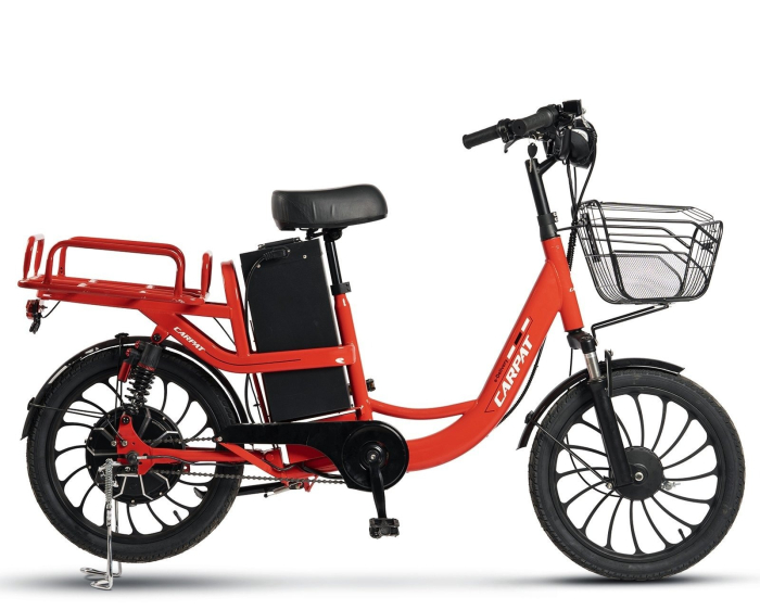 Bicicleta electrica tip scooter 20" CARPAT E-Delivery 20314E, cadru otel 16", frane tambur/disc, autonomie 60-80 km [2]