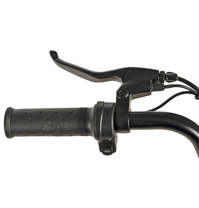 Bicicleta electrica tip scooter 20" CARPAT E-Delivery 20314E, cadru otel 16", frane tambur/disc, autonomie 60-80 km [6]