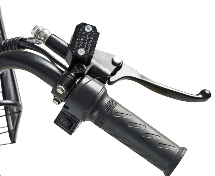 Bicicleta electrica tip scooter 20" CARPAT E-Delivery 20314E, cadru otel 16", frane tambur/disc, autonomie 60-80 km [5]