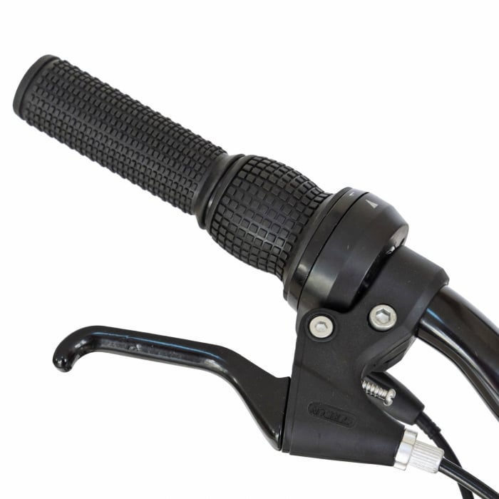 Bicicleta copii MTB-FS 20" RICH Alpin 2.0, cadru otel, manete RevoShift, frane V-Brake, 6 viteze, verde, varsta 7-10 ani [6]