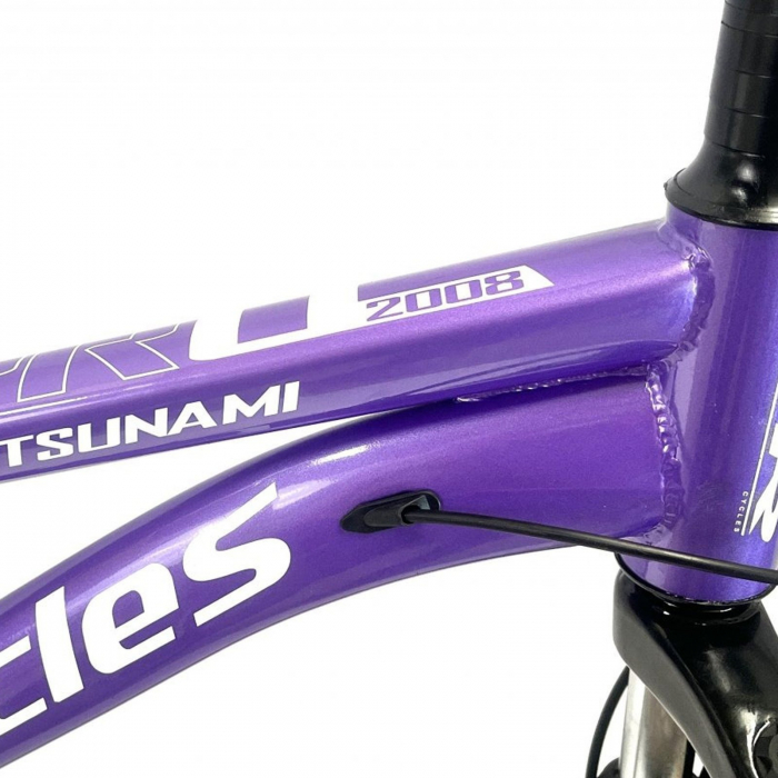 Bicicleta MTB-HT 26" BR Tsunami Pro2008 cadru otel, manete secventiale, frane disc, 21 viteze [11]