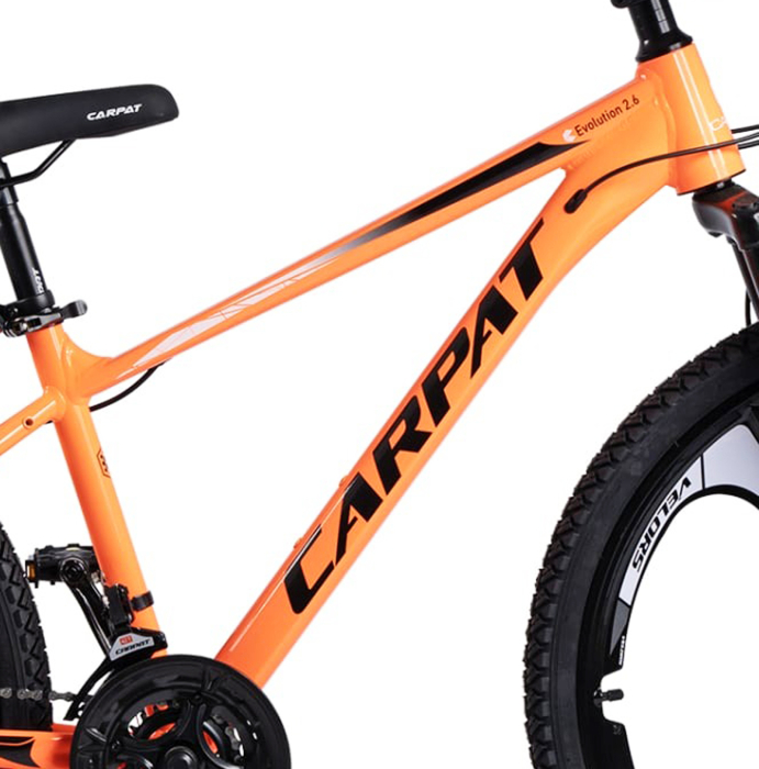 Bicicleta MTB-HT 26" CARPAT Evolution 2.6, cadru aluminiu 17", jante magneziu, manete secventiale, frane disc, 21 viteze [10]