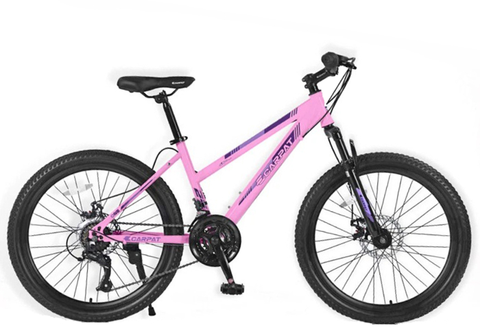 ﻿﻿Bicicleta MTB-HT 26" Carpat One, cadru otel 17", manete RevoShift, frane disc, 21 viteze [2]