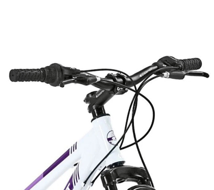 ﻿﻿Bicicleta MTB-HT 26" Carpat One, cadru otel 17", manete RevoShift, frane disc, 21 viteze [4]