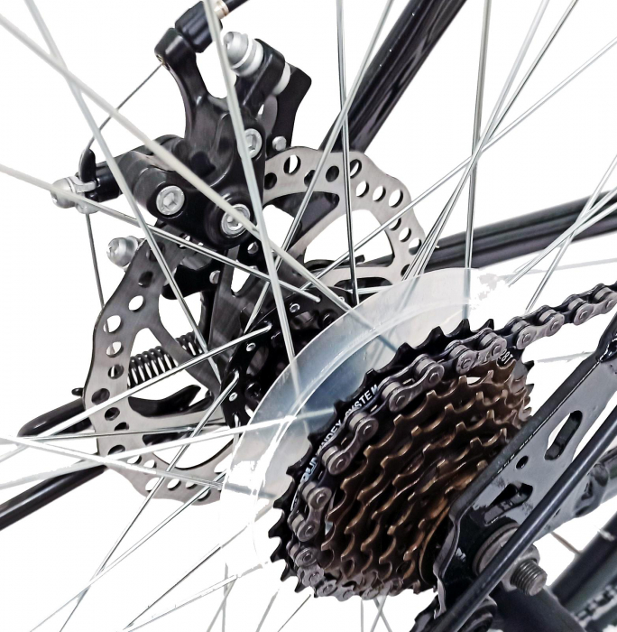 Bicicleta MTB-HT 29" BR Arizona One, cadru otel 19", frane disc, manete secventiale, 21 viteze, negru/verde [10]