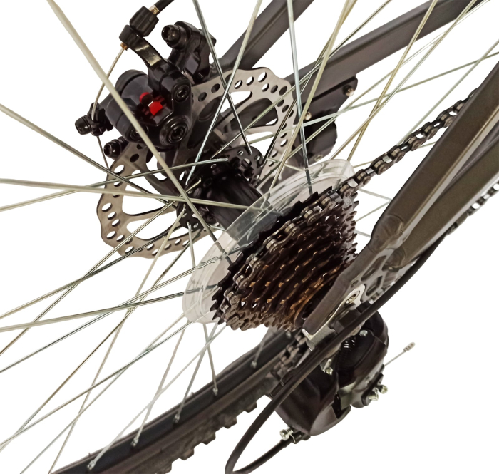 Bicicleta MTB-HT 29" BR Tornado Carrier, cadru aluminiu 18", manete secventiale, frane disc, 21 viteze [10]