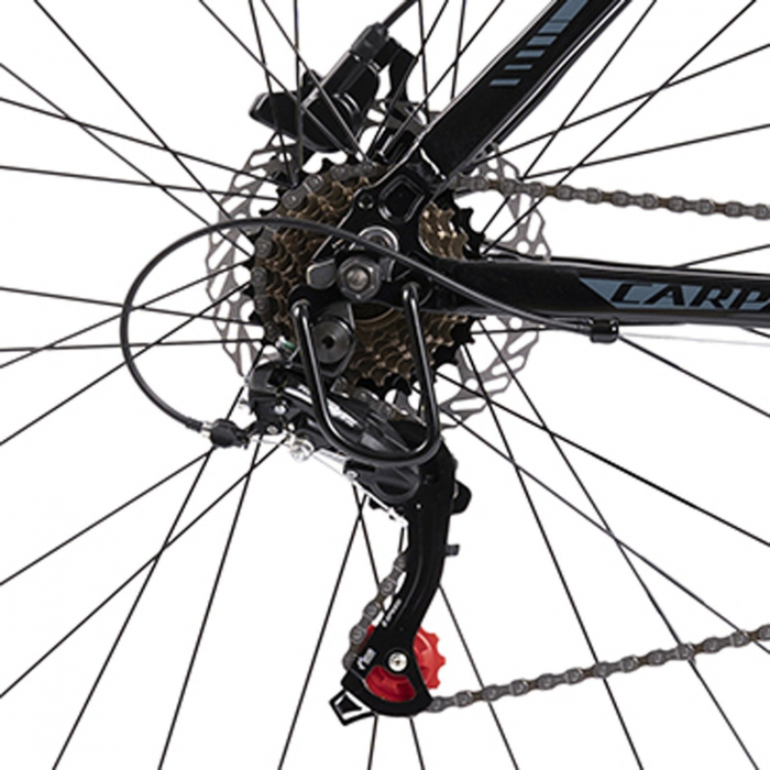 Bicicleta MTB-HT 29" CARPAT Montan 2.9, cadru aluminiu, manete secventiale, frane hidraulice, 21 viteze [7]