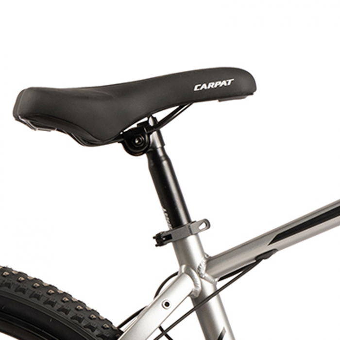 Bicicleta MTB-HT 29" CARPAT Spartan 2.9, cadru aluminiu 18", manete revoshift, frane disc, 21 viteze [10]