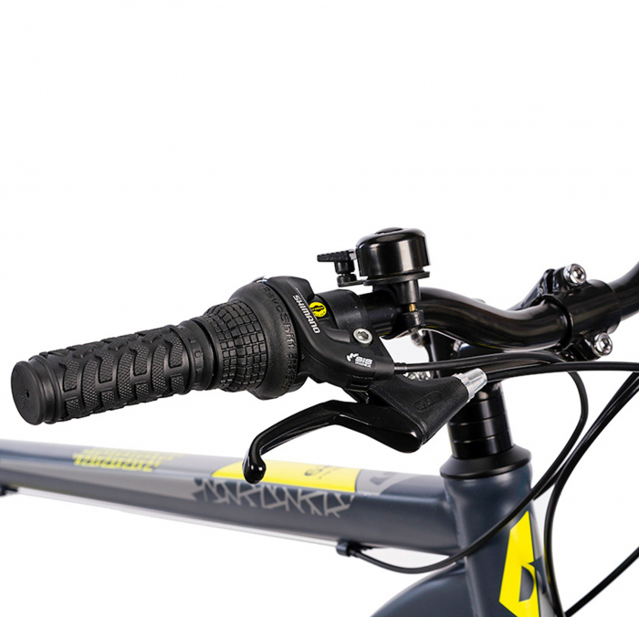 Bicicleta MTB-HT 29" TERRANA 2905, cadru otel 19.5", frane disc, 21 viteze, gri [5]