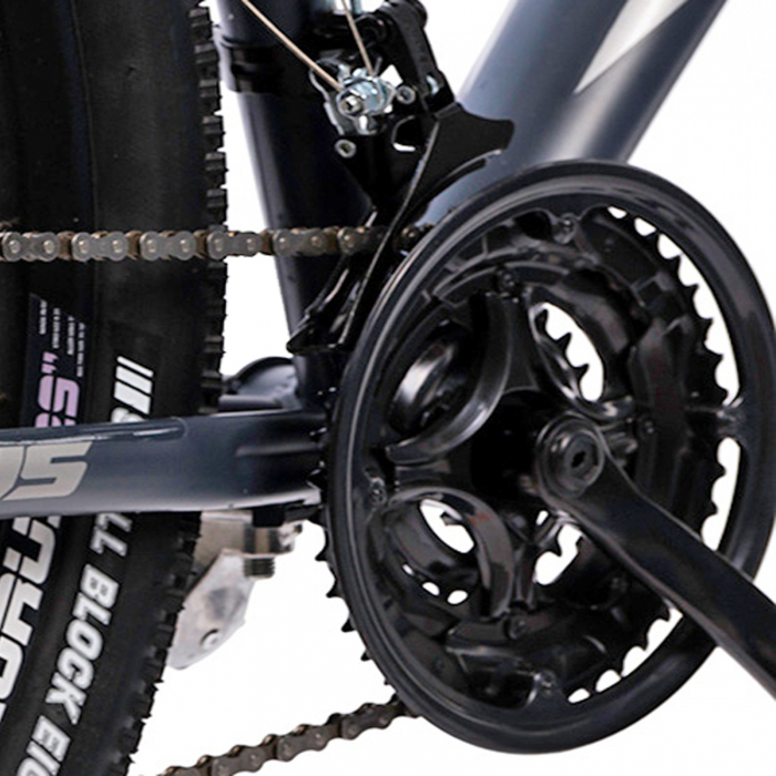 Bicicleta MTB-HT 29" TERRANA 2905, cadru otel 19.5", frane disc, 21 viteze, gri [7]