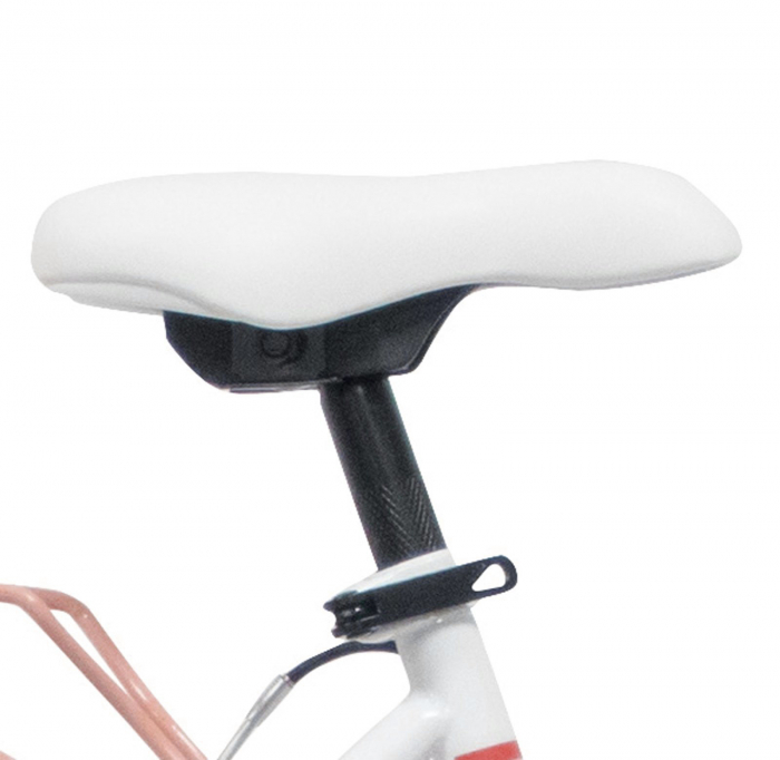 Bicicleta oras 24" BOTTARI Parma, cadru otel 17", frane V-Brake, 6 viteze [5]